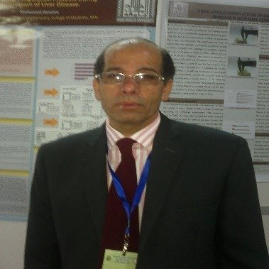 Mohamed Hessien 